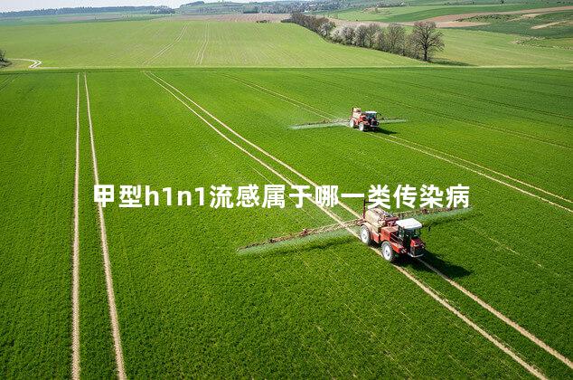 甲型h1n1流感属于哪一类传染病 甲型h1n1流感属于哪一类传染病