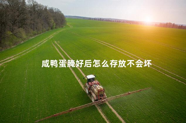 咸鸭蛋腌好后怎么存放不会坏 咸鸭蛋腌好后怎么存放不会坏