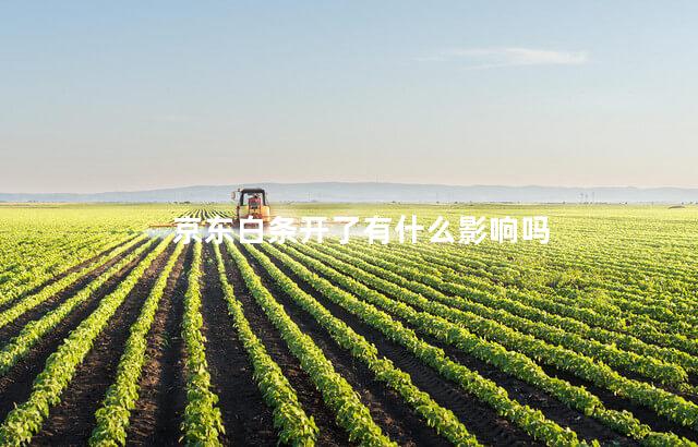 京东白条开了有什么影响吗