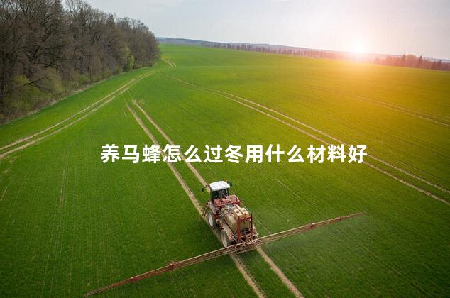 养马蜂怎么过冬用什么材料好 养马蜂怎么过冬用什么材料好