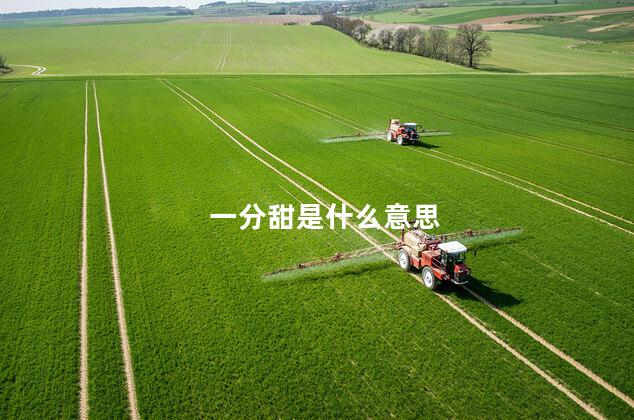 一分甜是什么意思 一分甜是什么意思