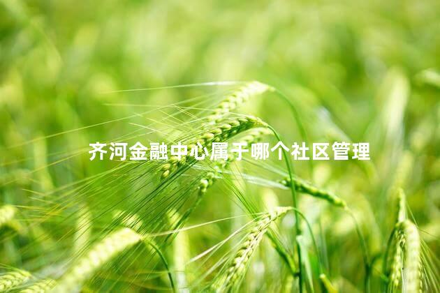 齐河金融中心属于哪个社区管理 齐河金融中心属于哪个社区管理