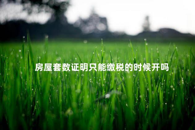房屋套数证明只能缴税的时候开吗 房屋套数证明只能缴税的时候开吗
