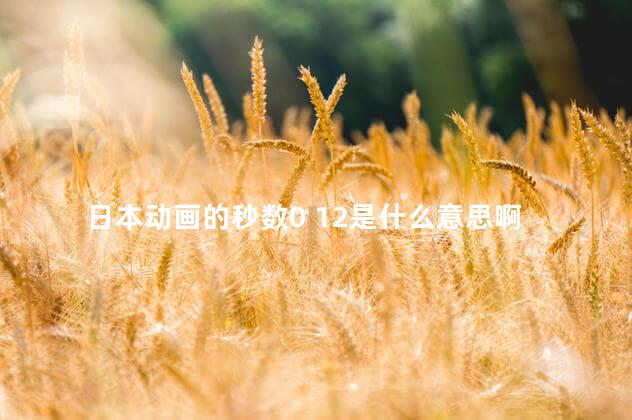 日本动画的秒数0 12是什么意思啊 日本动画的秒数0 12是什么意思啊
