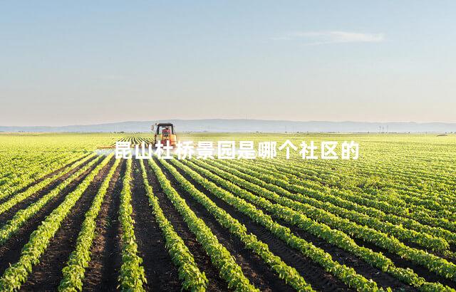 昆山杜桥景园是哪个社区的