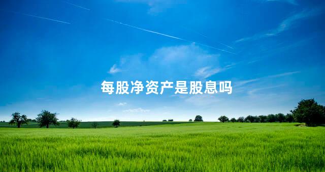 每股净资产是股息吗 每股净资产是股息吗