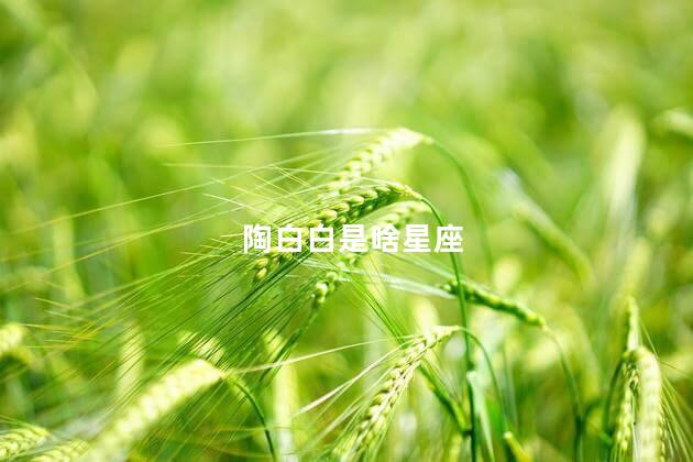 陶白白是啥星座 陶白白是啥星座