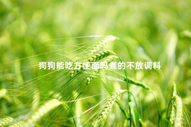 狗狗能吃方便面吗煮的不放调料