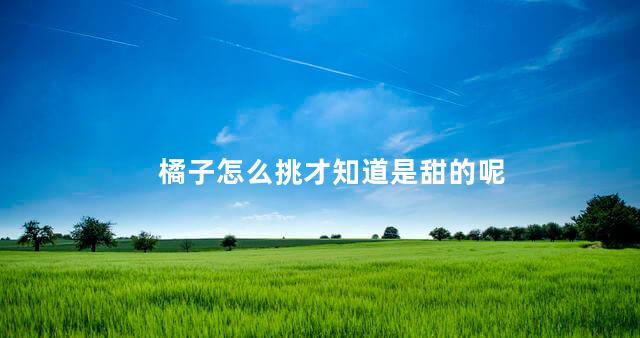 橘子怎么挑才知道是甜的呢