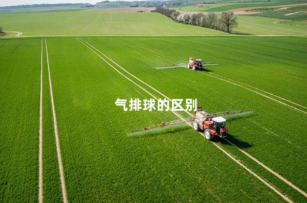 气排球的区别