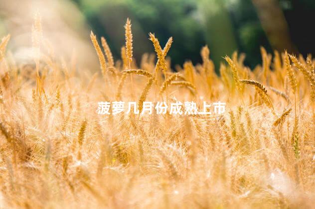 菠萝几月份成熟上市 菠萝几月份成熟上市