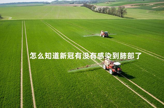 怎么知道新冠有没有感染到肺部了