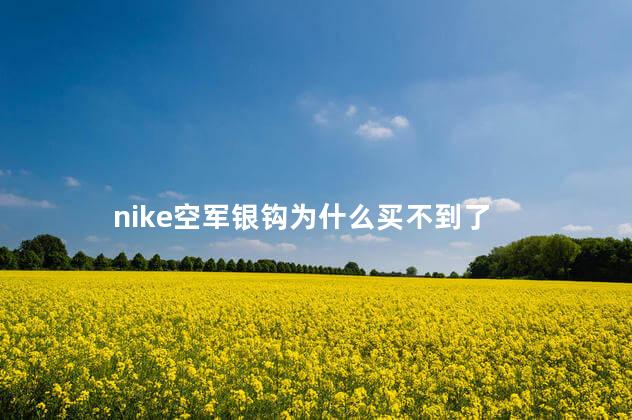 nike空军银钩为什么买不到了 nike空军银钩为什么买不到了