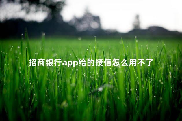 招商银行app给的授信怎么用不了