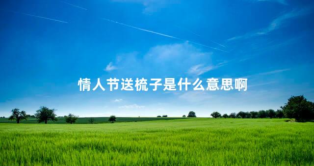 情人节送梳子是什么意思啊 情人节送梳子是什么意思啊