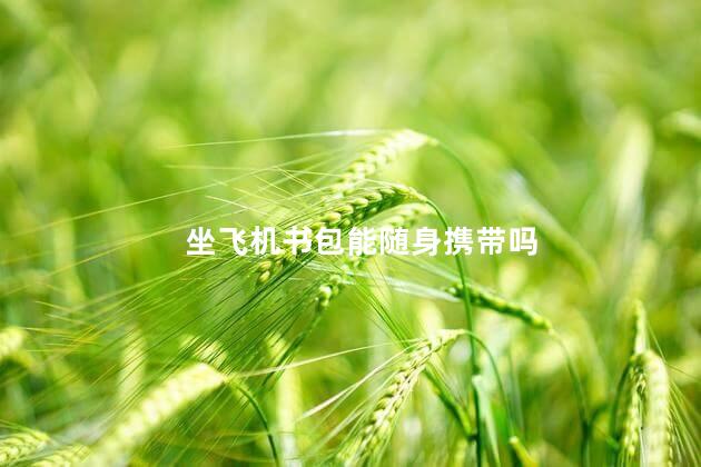 坐飞机书包能随身携带吗 坐飞机书包能随身携带吗