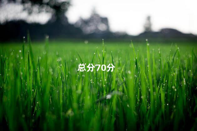 总分70分 总分70分