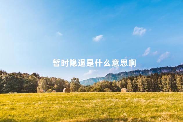 暂时隐退是什么意思啊 暂时隐退是什么意思啊