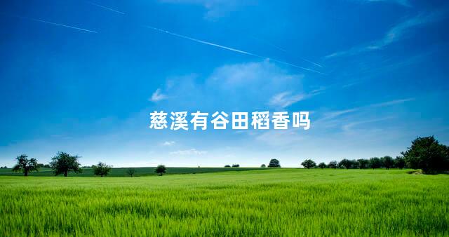 慈溪有谷田稻香吗 慈溪有谷田稻香吗