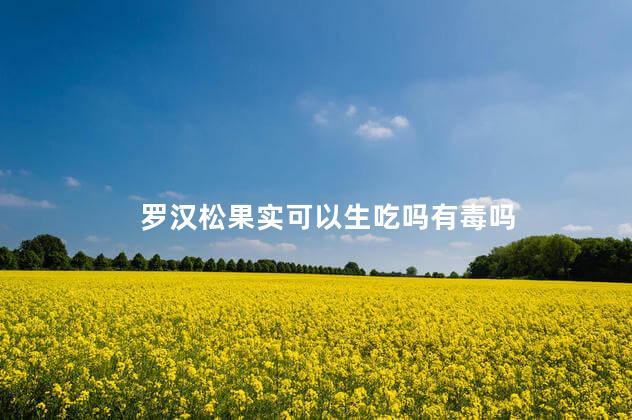 罗汉松果实可以生吃吗有毒吗 罗汉松果实可以生吃吗有毒吗
