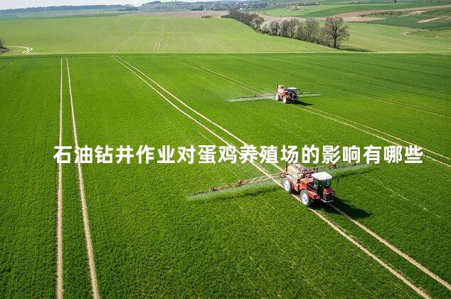 石油钻井作业对蛋鸡养殖场的影响有哪些