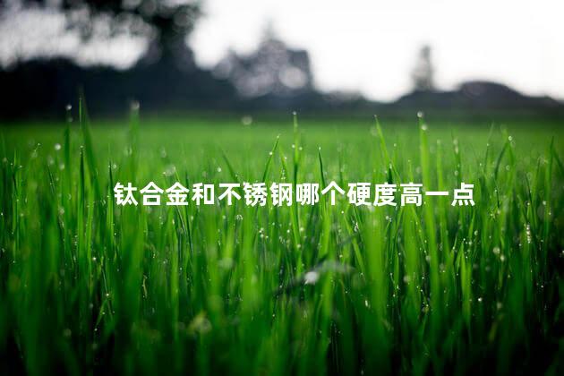 钛合金和不锈钢哪个硬度高一点 钛合金和不锈钢哪个硬度高一点