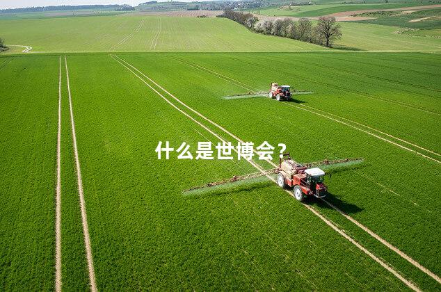 什么是世博会? 什么是世博会?