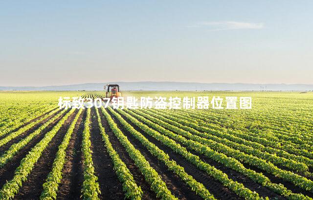 标致307钥匙防盗控制器位置图 标致307钥匙防盗控制器位置图