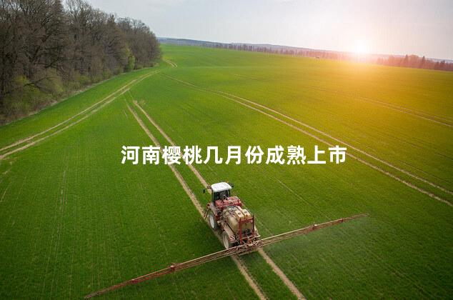 河南樱桃几月份成熟上市