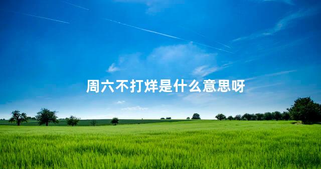 周六不打烊是什么意思呀