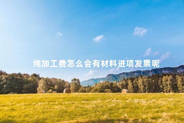 纯加工费怎么会有材料进项发票呢
