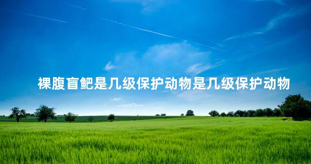 裸腹盲鲃是几级保护动物是几级保护动物