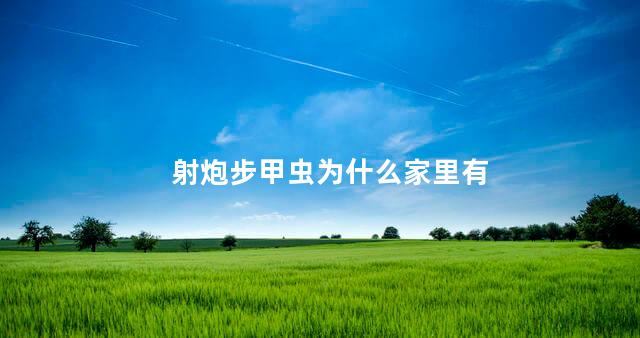 射炮步甲虫为什么家里有 射炮步甲虫为什么家里有