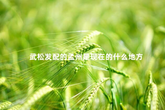 武松发配的孟州是现在的什么地方 武松发配的孟州是现在的什么地方