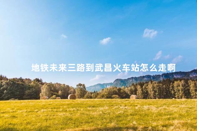 地铁未来三路到武昌火车站怎么走啊