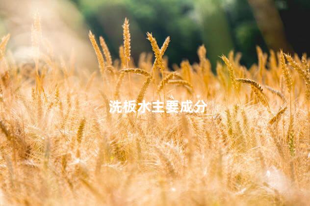 洗板水主要成分 洗板水主要成分