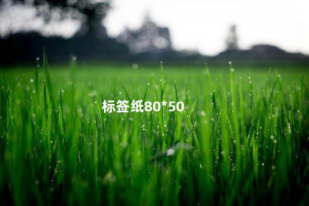 标签纸80*50 标签纸80*50