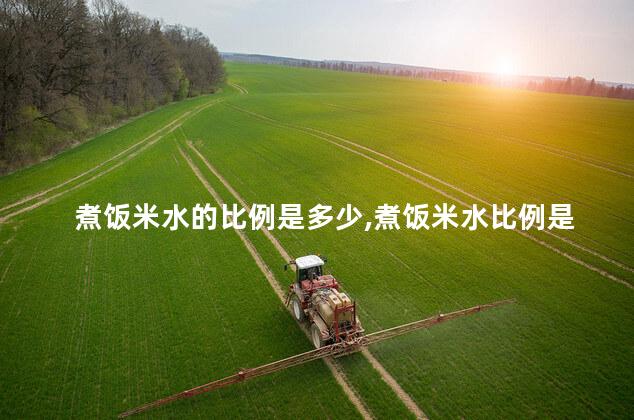 煮饭米水的比例是多少,煮饭米水比例是多少 煮饭米水的比例是多少,煮饭米水比例是多少