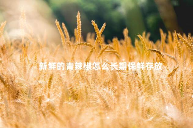 新鲜的青辣椒怎么长期保鲜存放 新鲜的青辣椒怎么长期保鲜存放