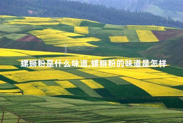 螺蛳粉是什么味道,螺蛳粉的味道是怎样形成的 螺蛳粉是什么味道,螺蛳粉的味道是怎样形成的