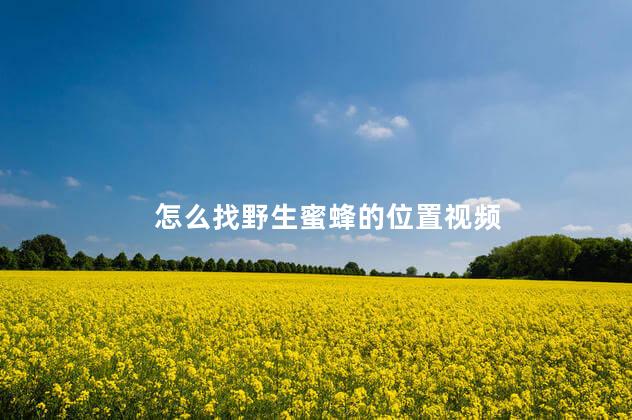怎么找野生蜜蜂的位置视频 怎么找野生蜜蜂的位置视频