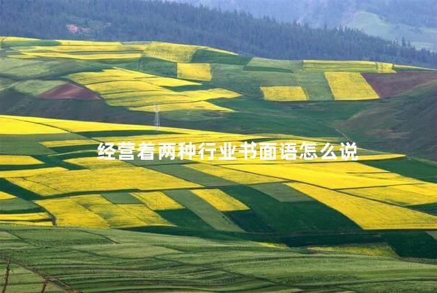 经营着两种行业书面语怎么说 经营着两种行业书面语怎么说