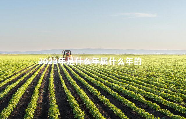 2023年是什么年属什么年的 2023年是什么年属什么年的