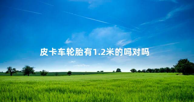 皮卡车轮胎有1.2米的吗对吗 皮卡车轮胎有1.2米的吗对吗