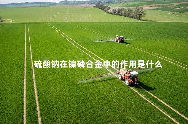 硫酸钠在镍磷合金中的作用是什么 硫酸钠在镍磷合金中的作用是什么