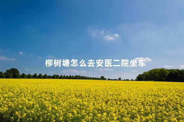 柳树塘怎么去安医二院坐车