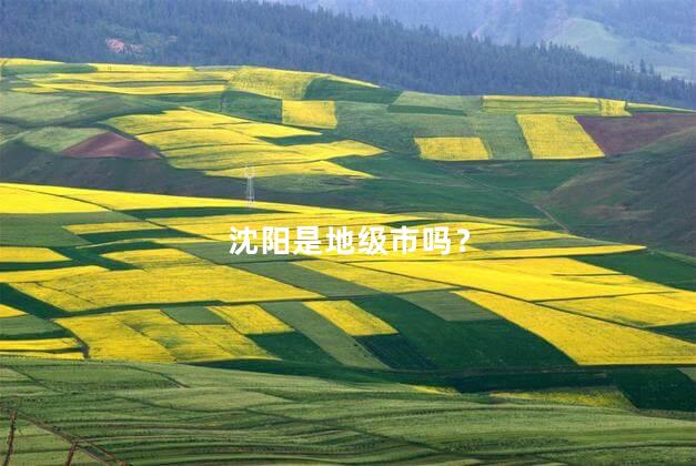 沈阳是地级市吗？