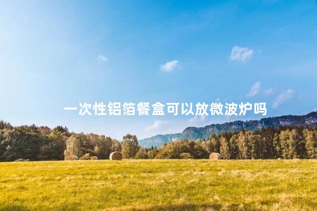 一次性铝箔餐盒可以放微波炉吗 一次性铝箔餐盒可以放微波炉吗