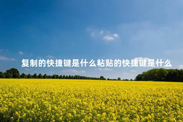 复制的快捷键是什么粘贴的快捷键是什么 复制的快捷键是什么粘贴的快捷键是什么