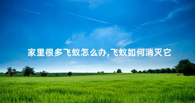 家里很多飞蚁怎么办,飞蚁如何消灭它